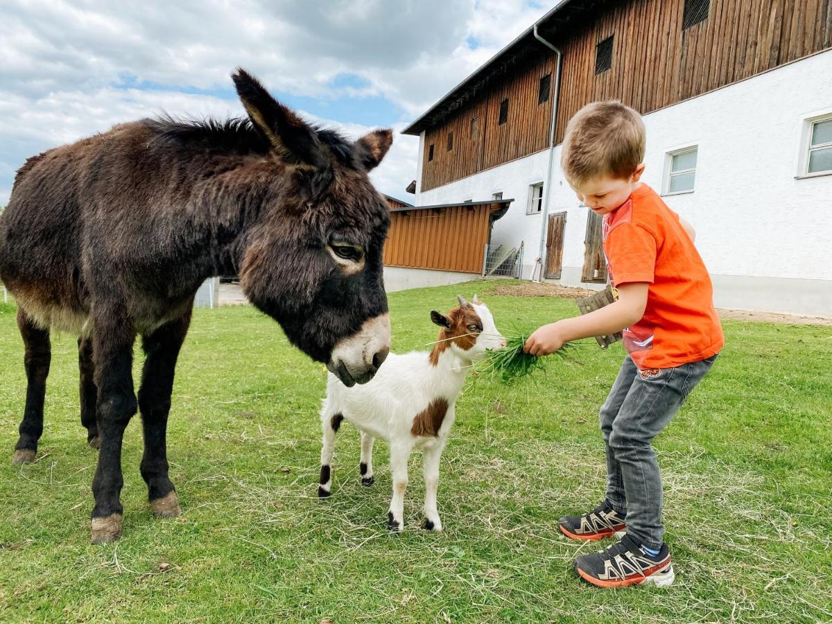 Grainmeisterhof Niederwaldkirchen Екстер'єр фото