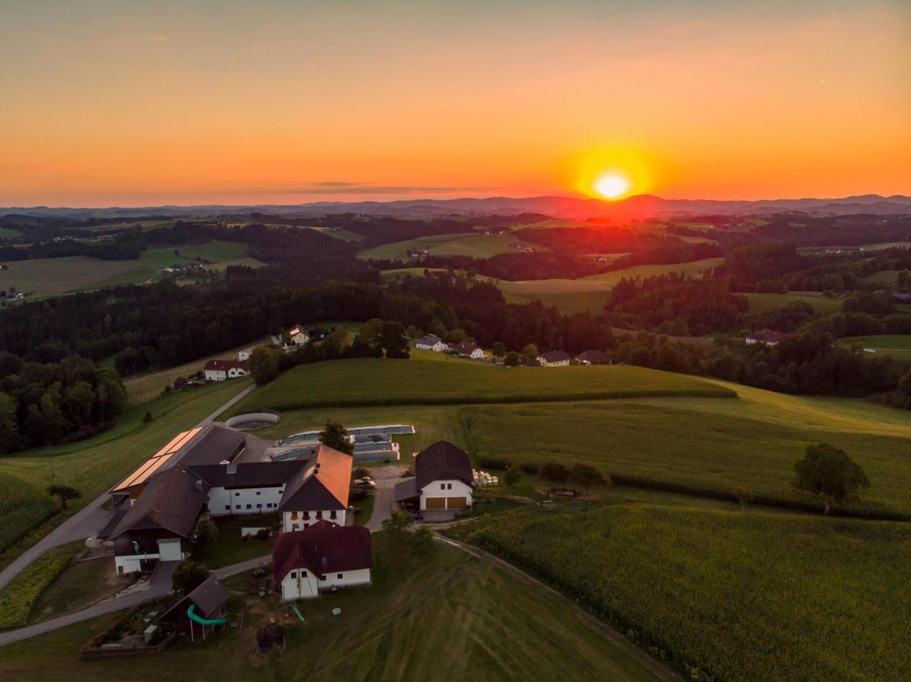 Grainmeisterhof Niederwaldkirchen Екстер'єр фото